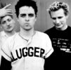 Green-Day-16