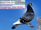 RO 20 858170 M Pret 150 Lei +  transportul