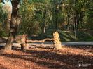 w-Peisaj de Toamna - Autumn Landscape 3 