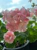 6F81D950-9EC7-4519-9D52-CC29B60ACB79