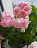 A9921584-F322-47DB-97BD-188792CEE166