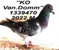 2022.1339470.M ko van bun -scr