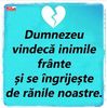 98870229_MMSDMDZ