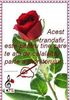 98853384_TTEYBUE