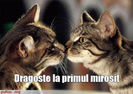 98864101_DOCPEET
