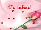 98313339_EZAFZAT