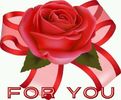 95560369_IMKMHIC3