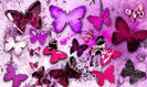90306363_DVPSRIA