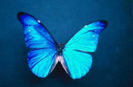 90306349_GFRNBTX3
