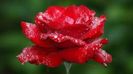 96490230_RRASUAJ