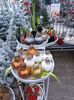 Img.2022.12.19-amarilys in ceară