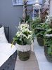 Img. 2022.12.19- alte idei...
