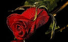 88383227_QMCQAZL3