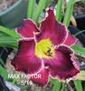 Max Factor - 2015 - E - bloomed