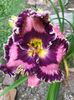 Riveting - 2019 - SE - bloomed