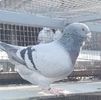 VideoCapture_20221122-105502