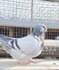 VideoCapture_20221122-212704
