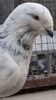 VideoCapture_20221101-101754