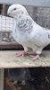 VideoCapture_20221030-204336