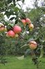 IMG-20230102-WA0054