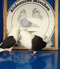 IMG-20230107-WA0003