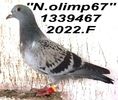 2022.1339467.F+