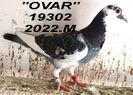 2022.19302.M+