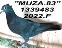 2022.1339483.+ (2)