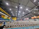 INTERIOR OBO ARENA DABAS