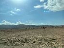 IMG-20230130-WA0021