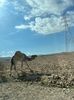 IMG-20230130-WA0018