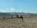 IMG-20230130-WA0019