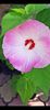 E8808715-38BD-44A9-AB8C-DB1C20797676