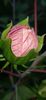 8BD1299C-68A8-4BF3-B216-F9281AEC68E1