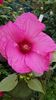 16D6E8C4-3ED7-4259-B903-00A9F033B552