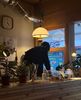 at warm and cozy