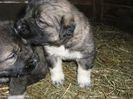 IMG-20230213-WA0106