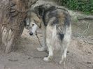 IMG-20230213-WA0103