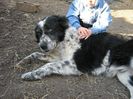 IMG-20230213-WA0097