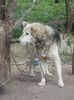 IMG-20230213-WA0091