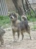 IMG-20230213-WA0089
