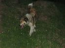 IMG-20230213-WA0083