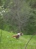 IMG-20230213-WA0076