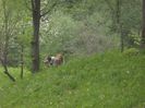IMG-20230213-WA0075