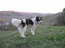 IMG-20230213-WA0069