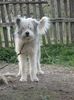 IMG-20230213-WA0067