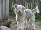 IMG-20230213-WA0066