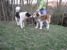 IMG-20230213-WA0057