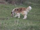 IMG-20230213-WA0054