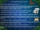 20 de curiozitati despre câini pe care nu le știai
